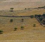 Suhozidi 05 - Kornatica