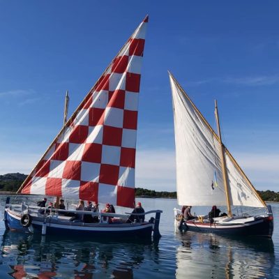 Latinsko idro ... ko ima jubavi, ima i voje! 06 - Kornatica