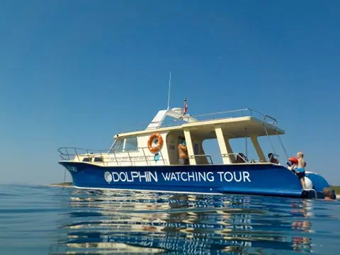 Dolphin Watching Tour 01 - Kornatica