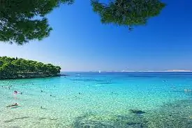 Podvrške 01 - Kornatica