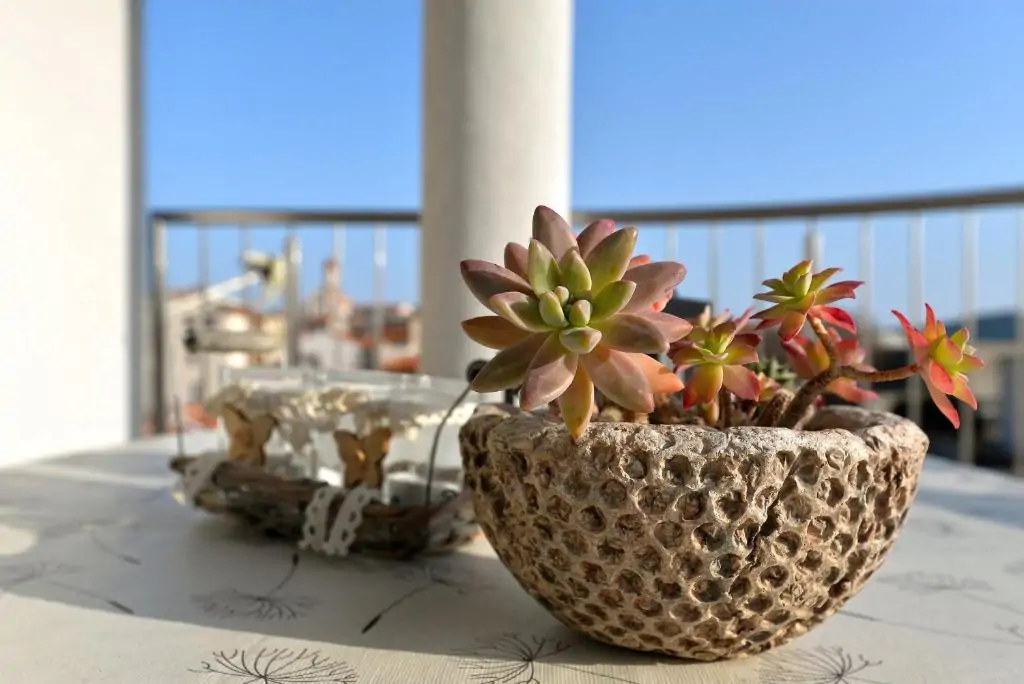 Anita A2 2+2 - Kornatica