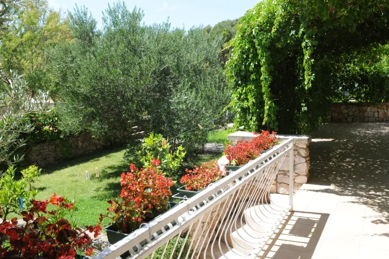 Mister B2 4+0 02 - Kornatica