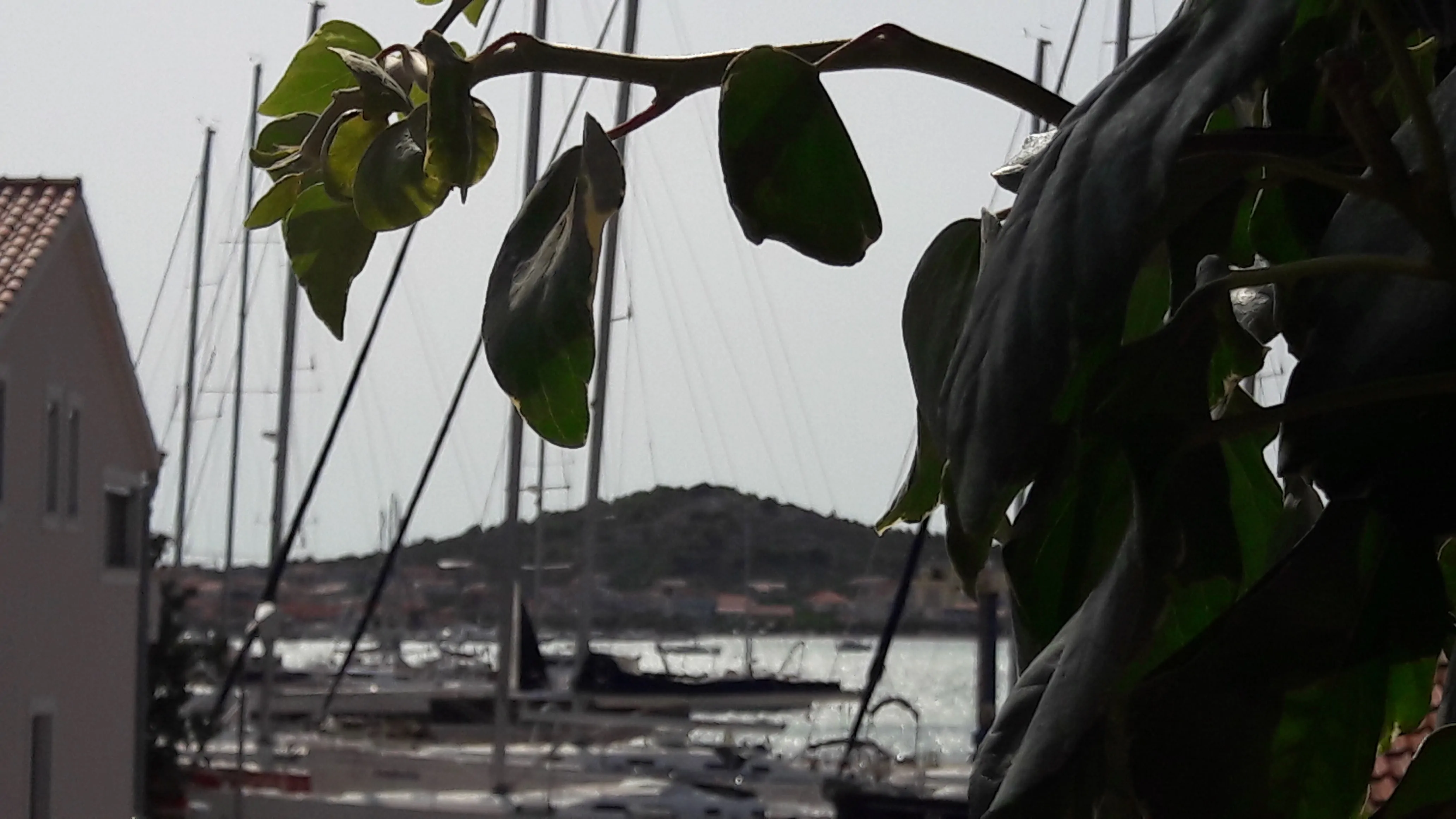 Marina A1 4+1 02 - Kornatica