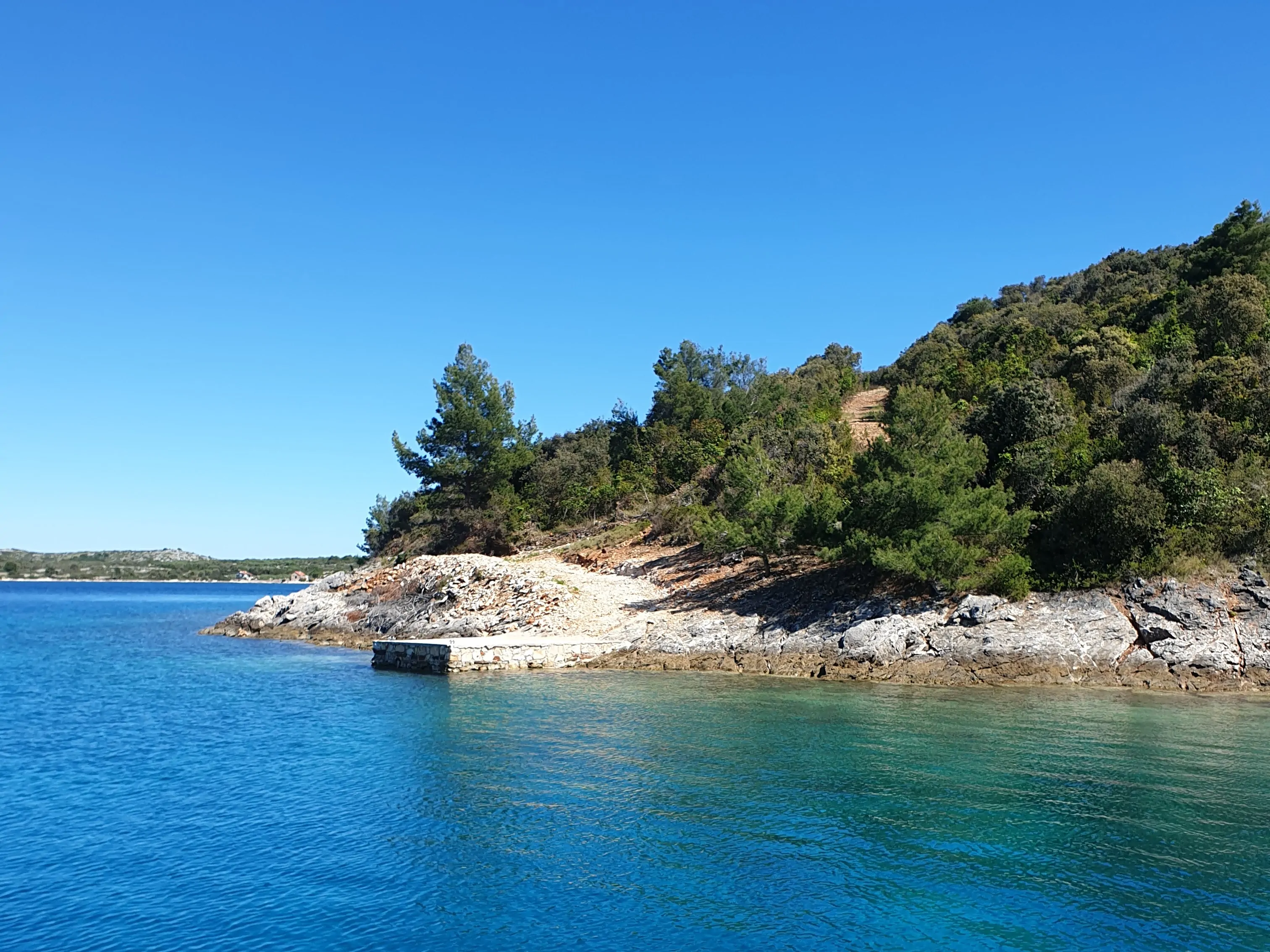 Yellow 08 - Kornatica