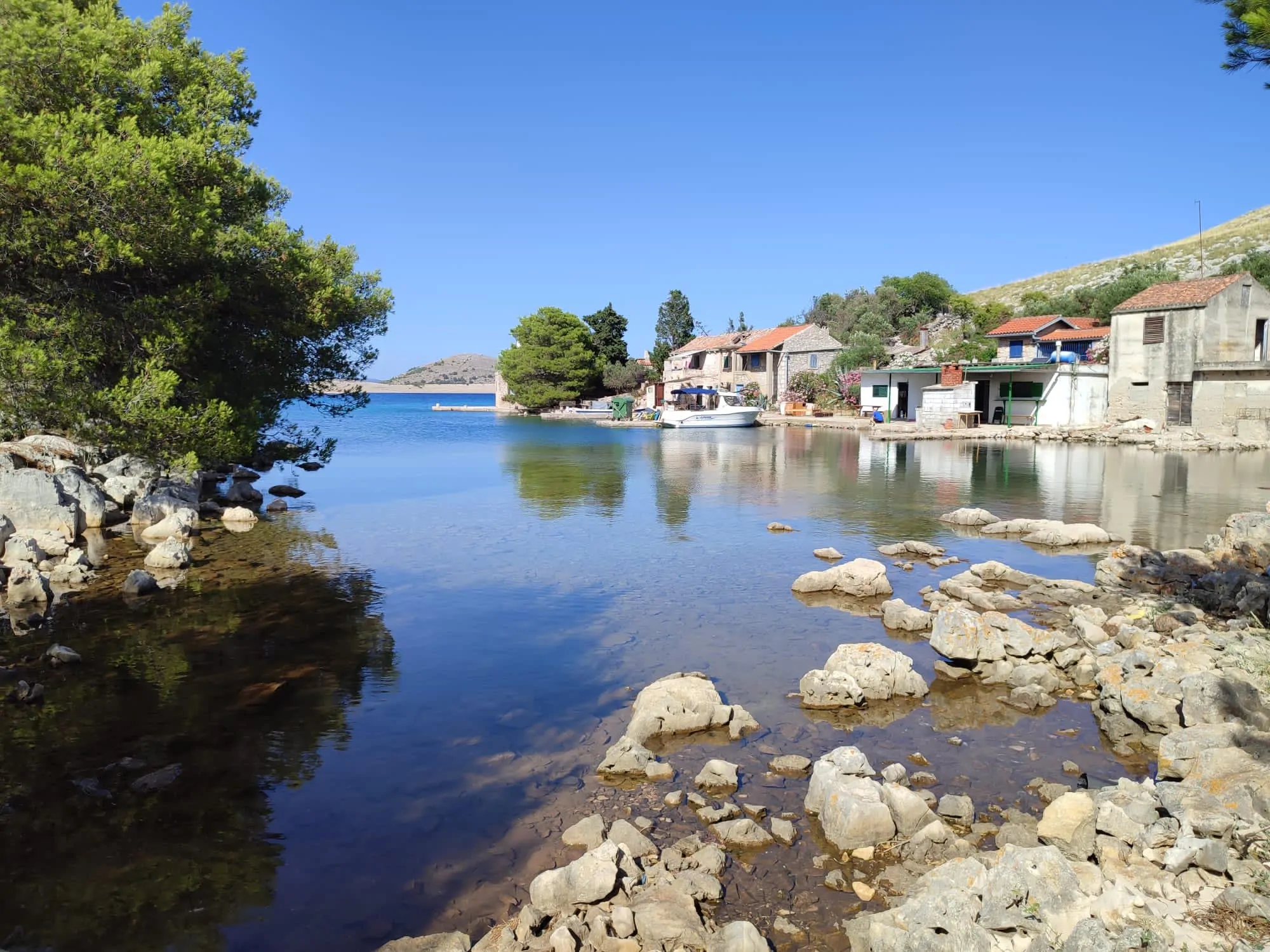 Žuti 12 - Kornatica