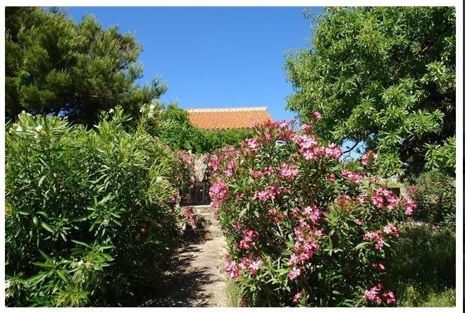 Koromašna V 04 - Kornatica