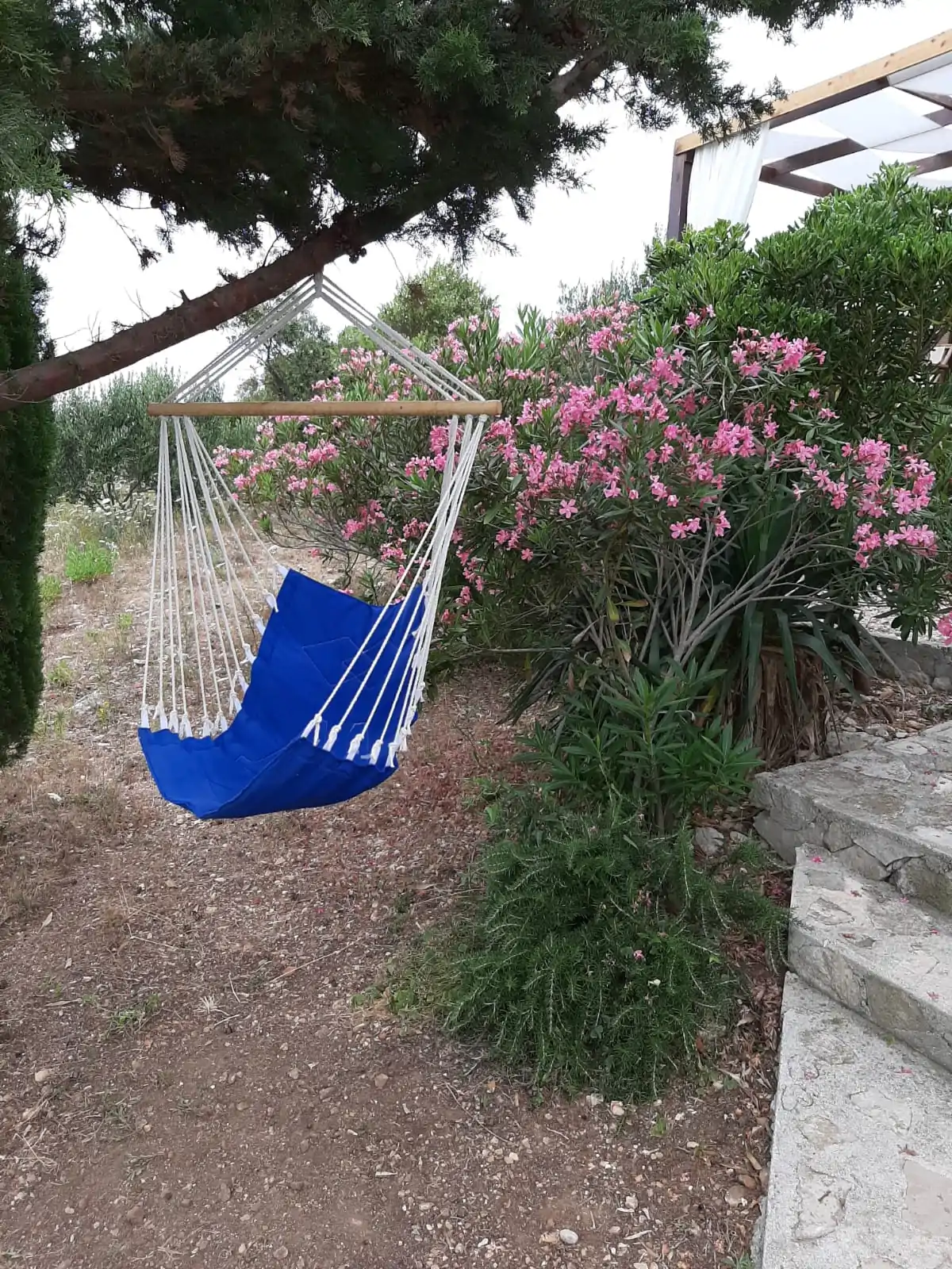 Brušnjak 11 - Kornatica