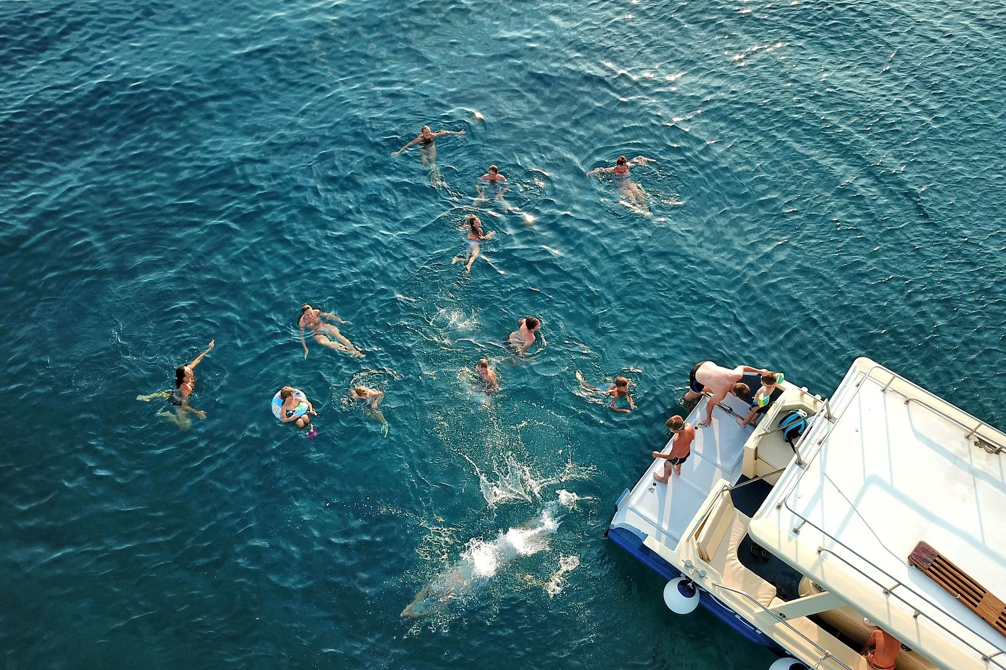 Dolphin Watching Tour 06 - Kornatica