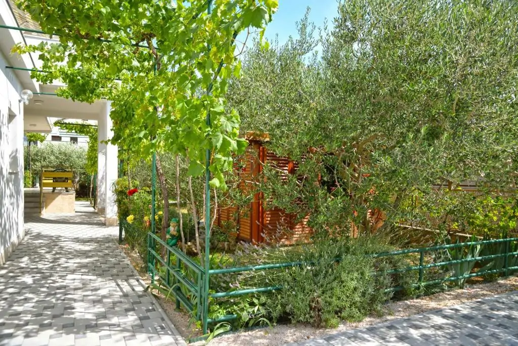 Anita A2 2+2 14 - Kornatica