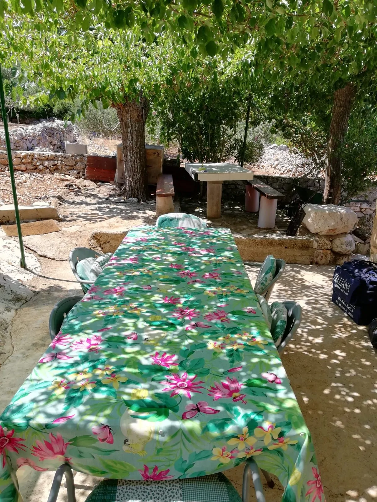 Sarušćica 09 - Kornatica