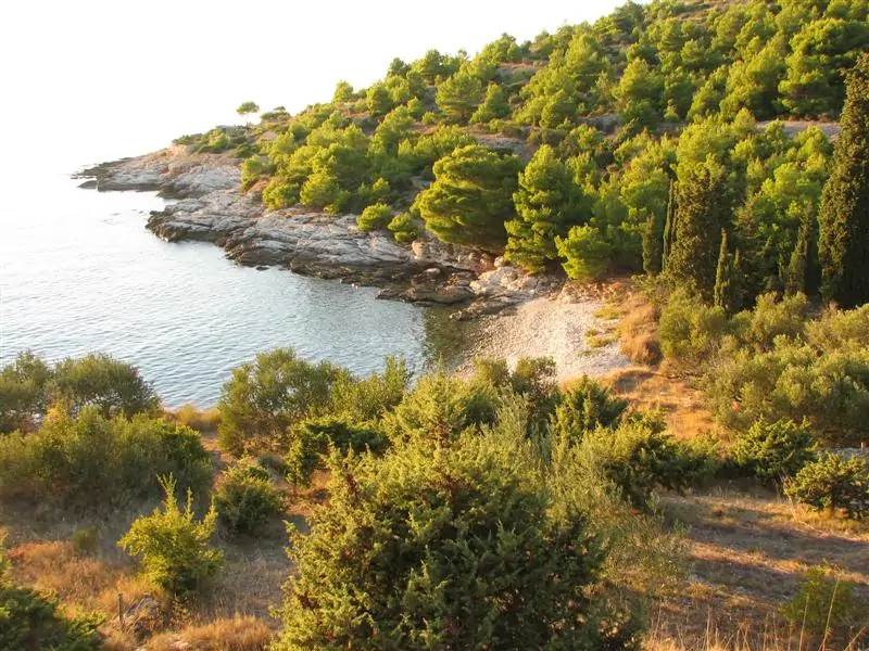 Plima 04 - Kornatica