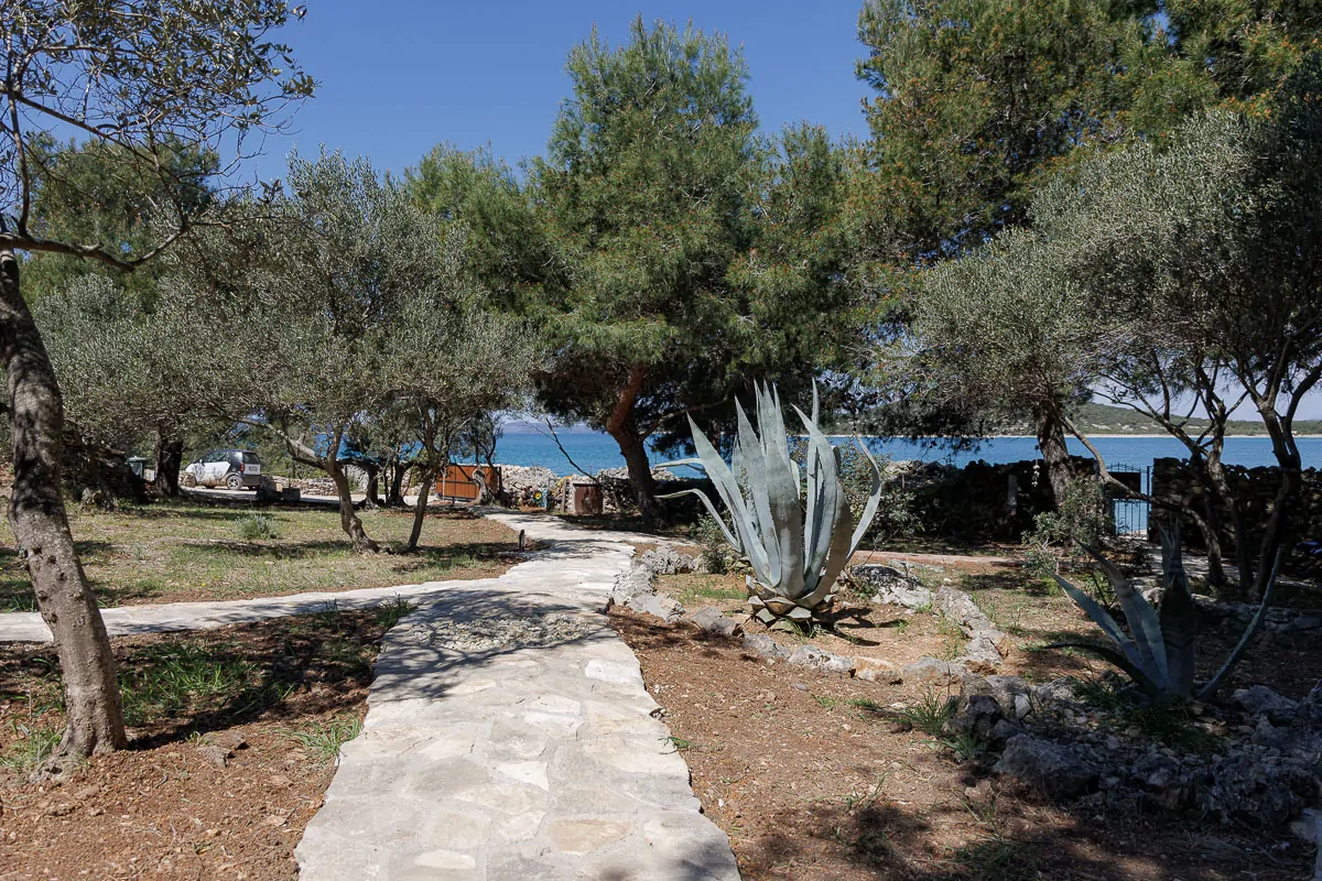 Magda 19 - Kornatica