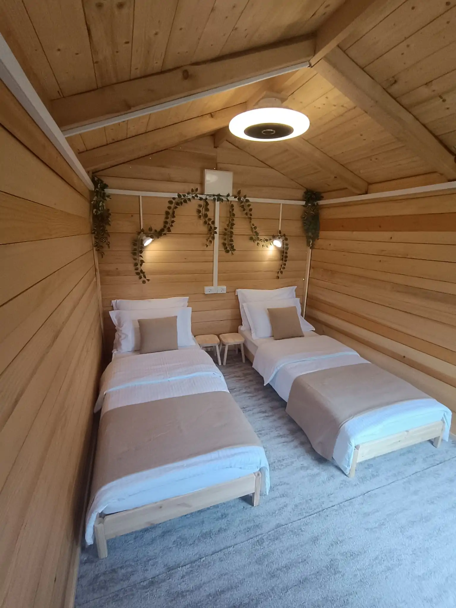 Mali Vinik 09 - Kornatica