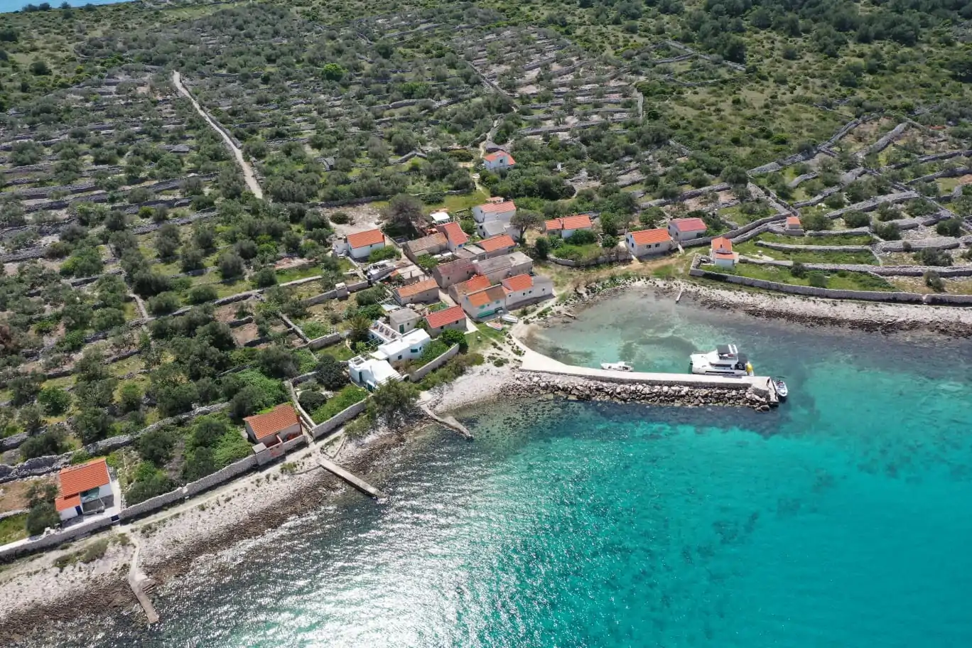 Gangaro 01 - Kornatica