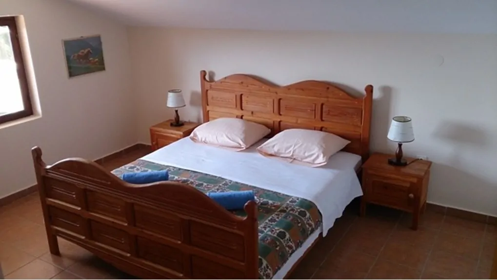 Maslina 06 - Kornatica