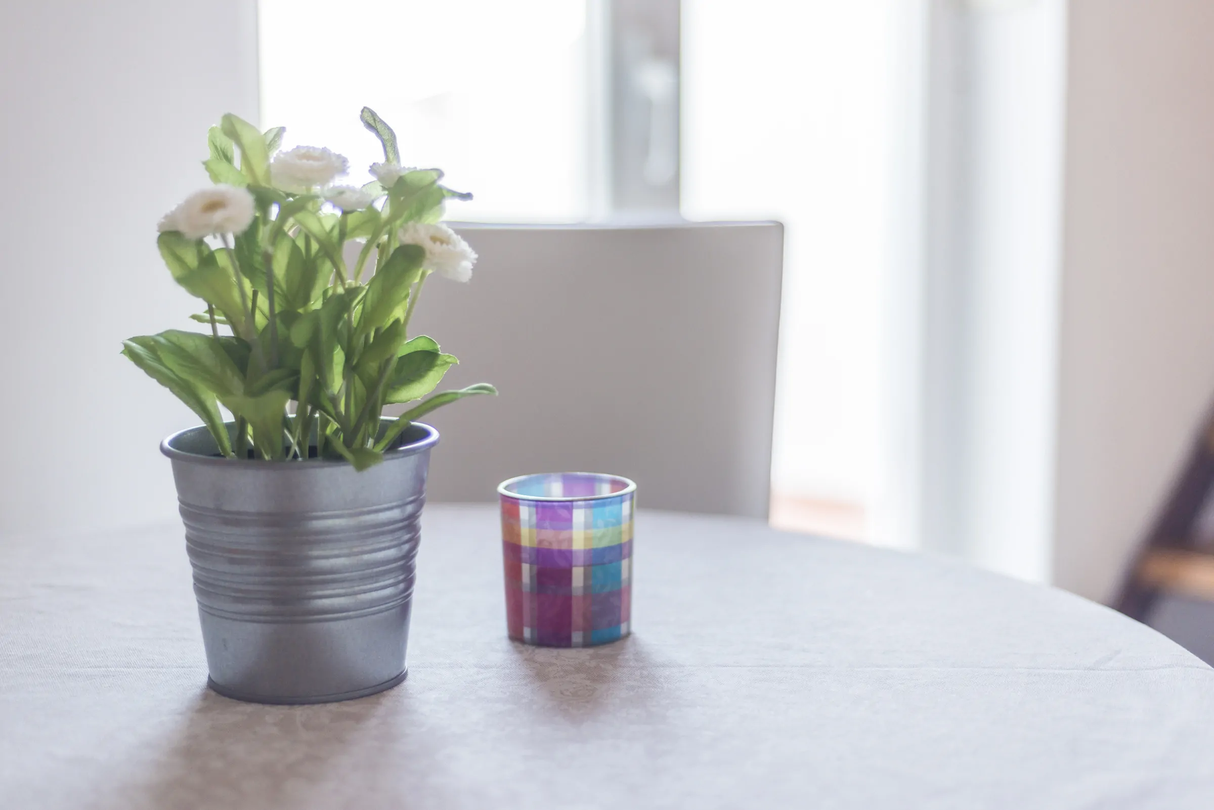 Vilma A1 2+2 07 - Kornatica