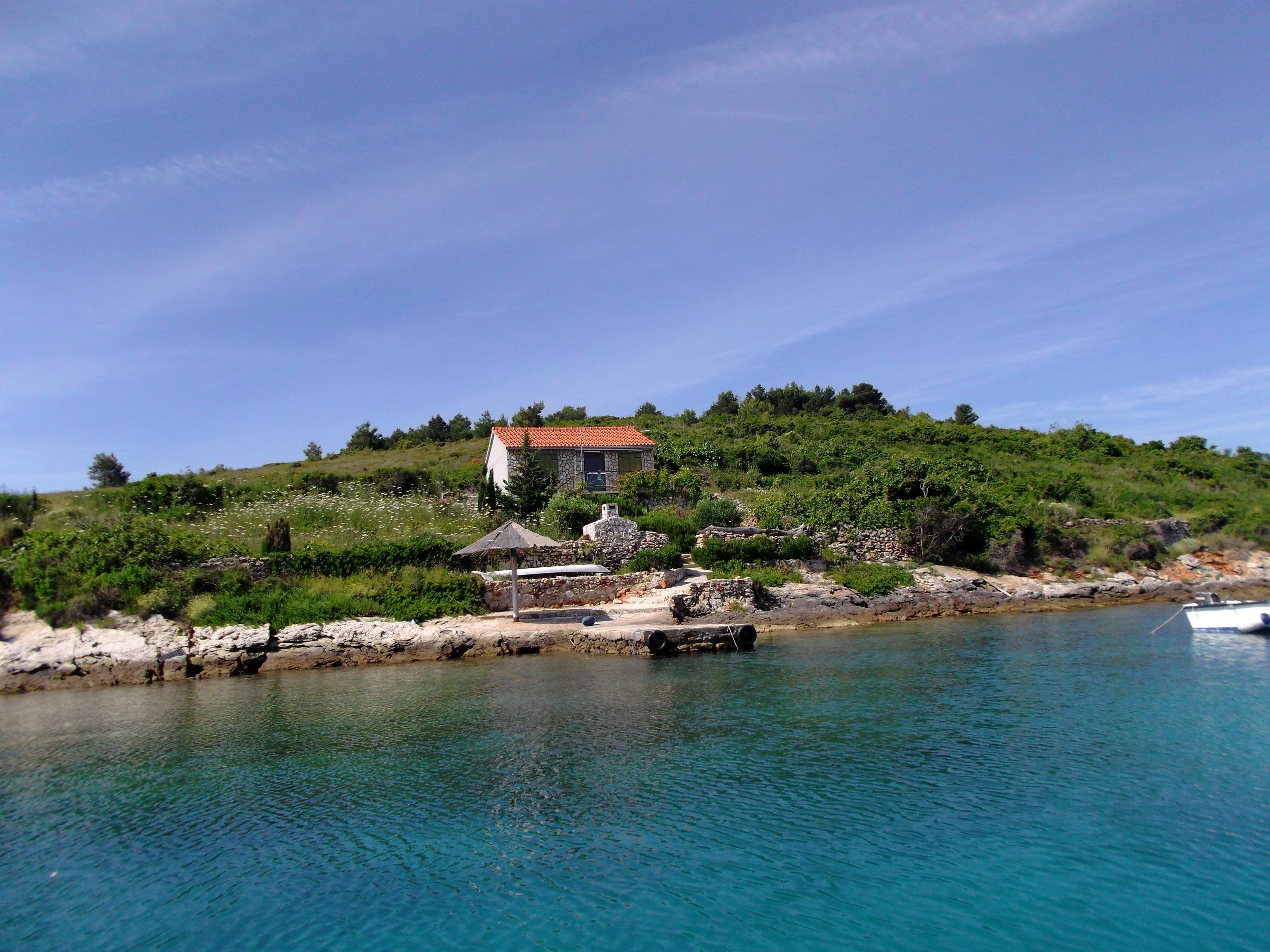 Brušnjak - Kornatica