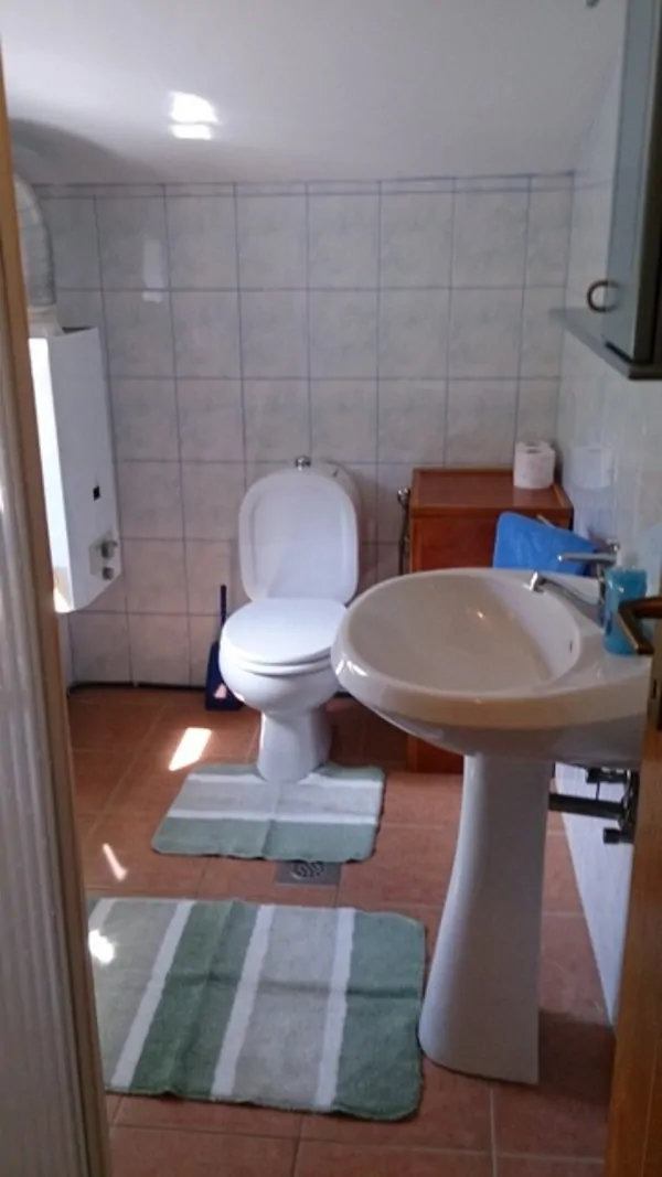 Maslina 09 - Kornatica