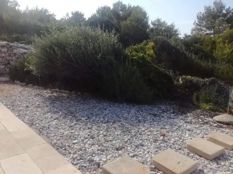 Žižanj 04 - Kornatica