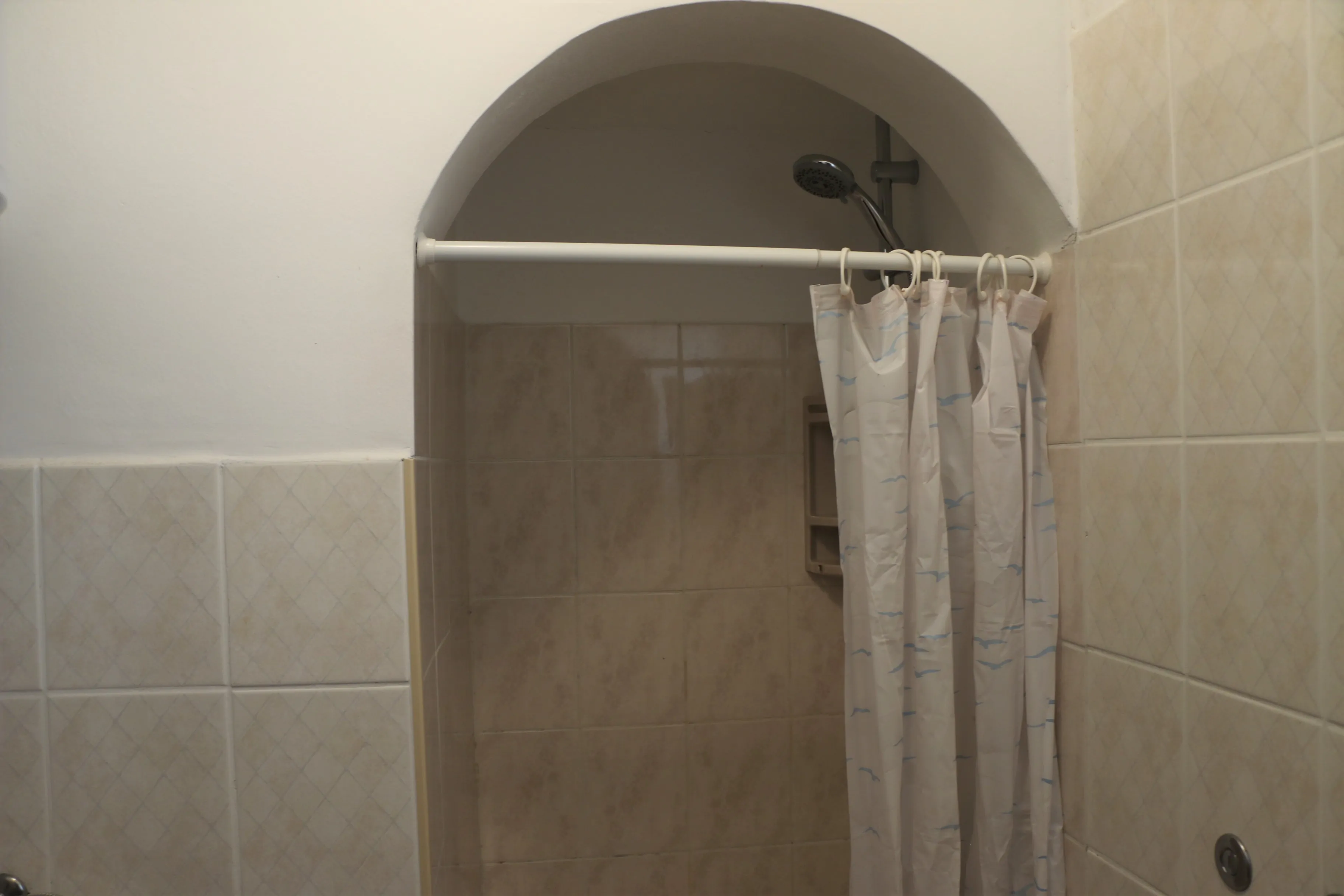 Pool 1 4+2 08 - Kornatica