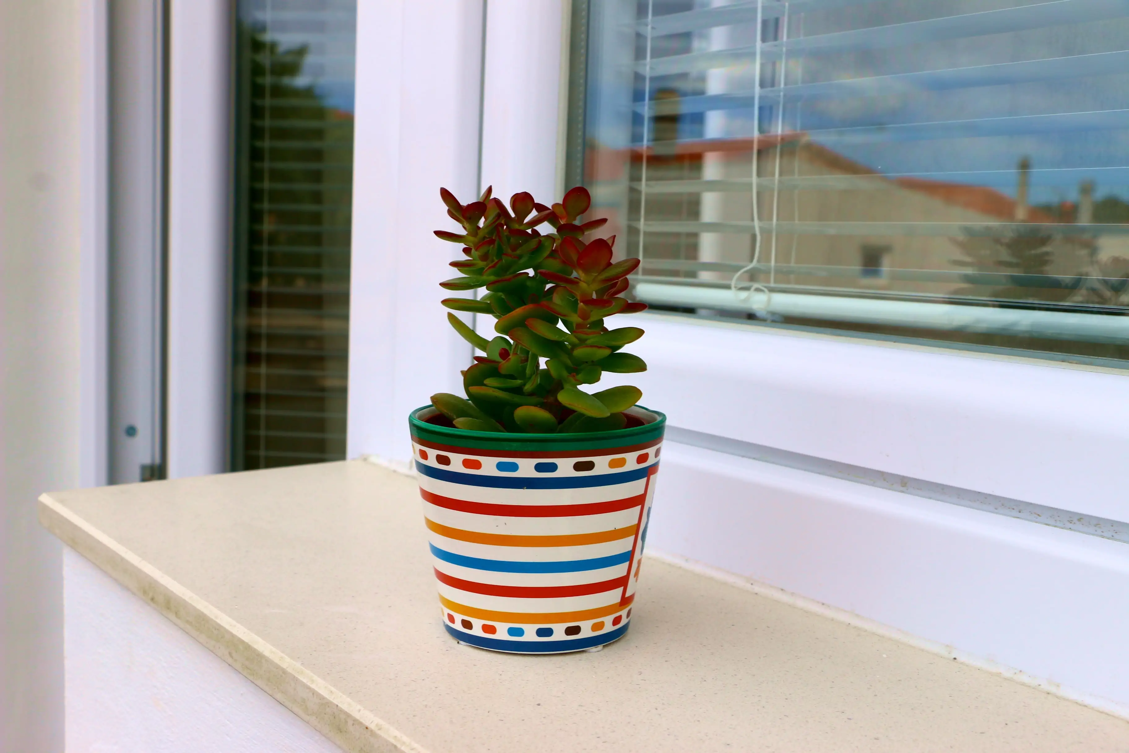 Elza 4+2 05 - Kornatica