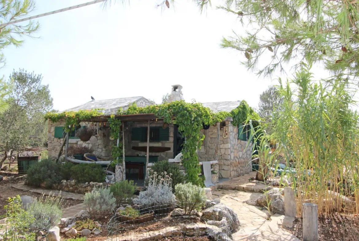 Veliki Vinik 03 - Kornatica