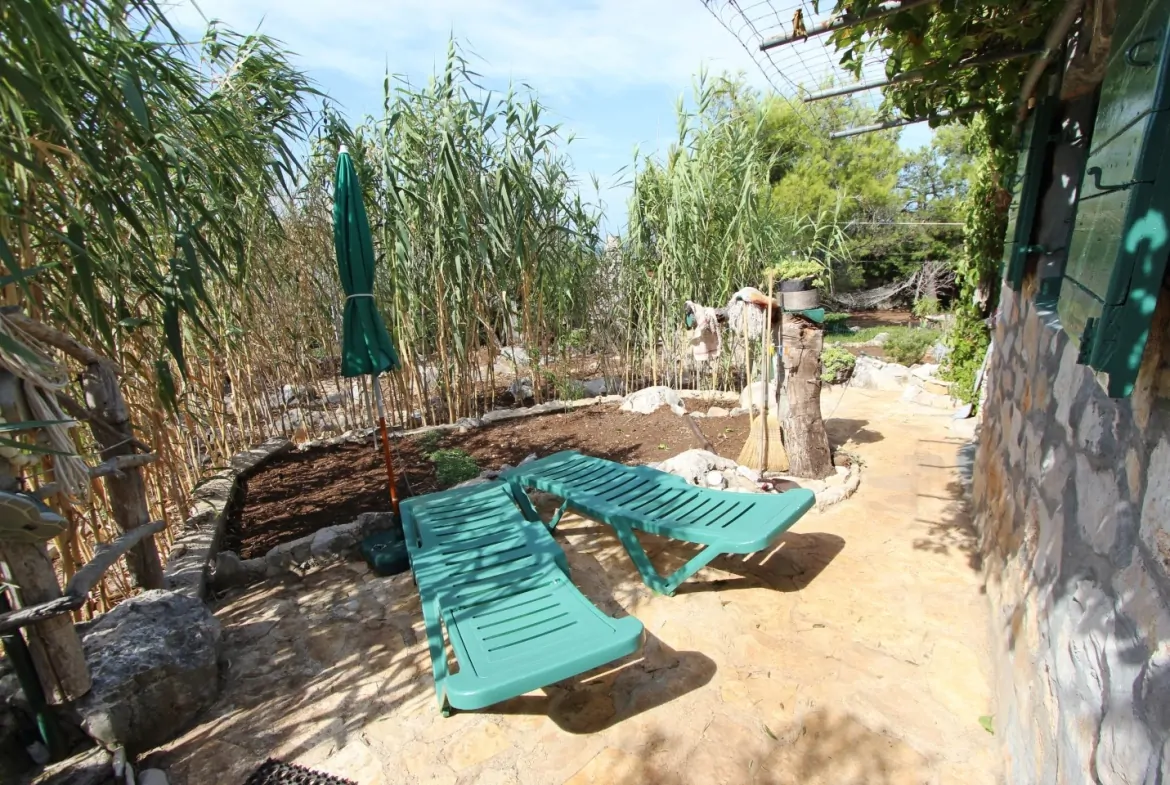 Veliki Vinik 05 - Kornatica