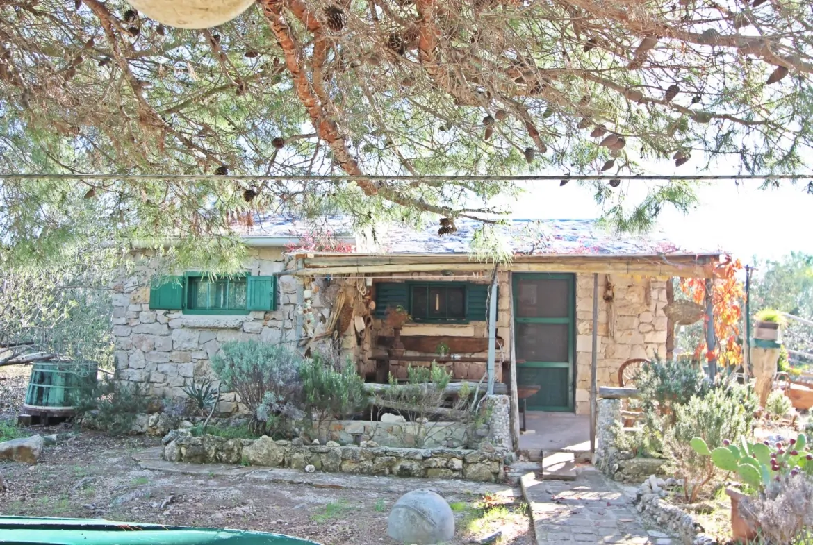 Veliki Vinik 08 - Kornatica