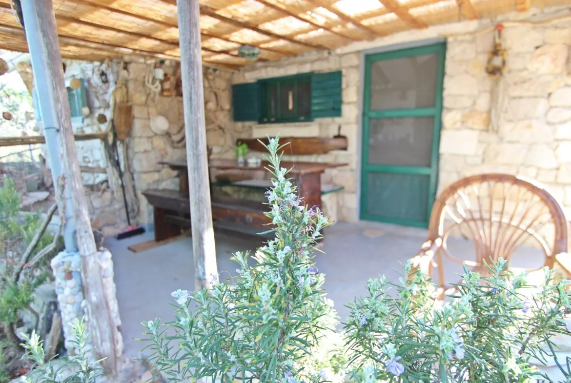 Veliki Vinik 07 - Kornatica