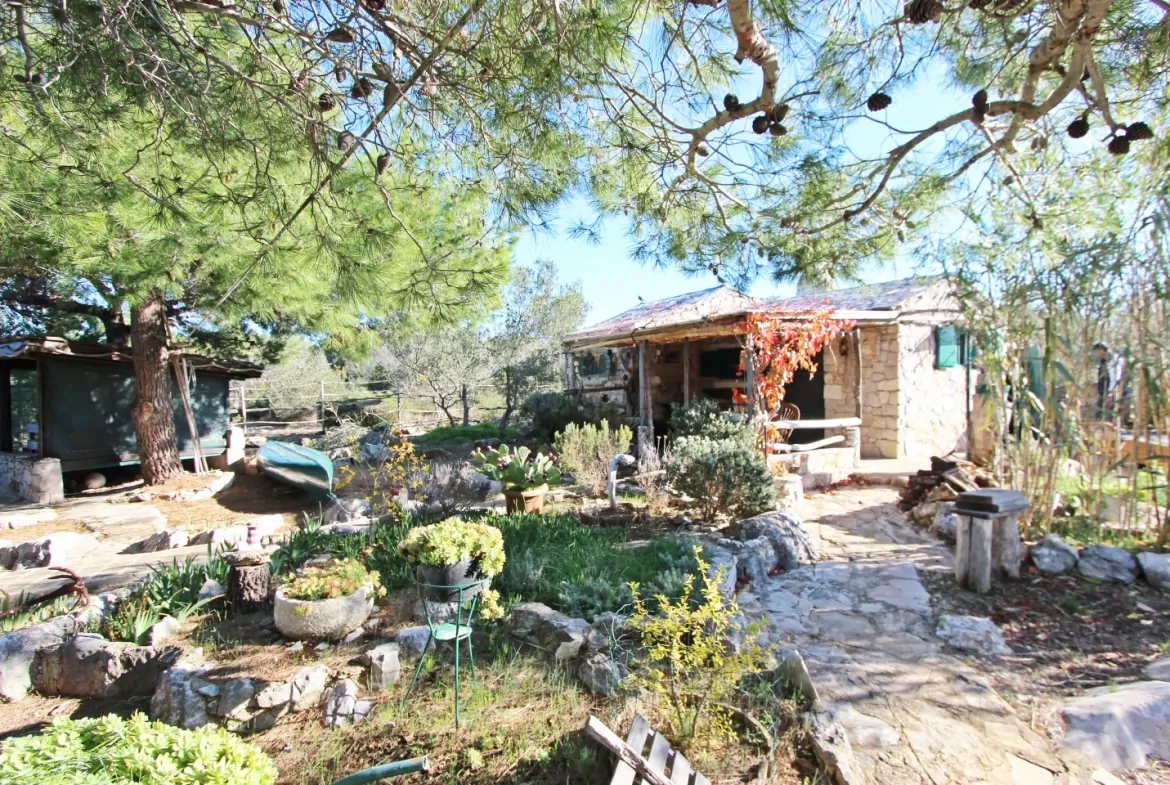 Veliki Vinik 09 - Kornatica