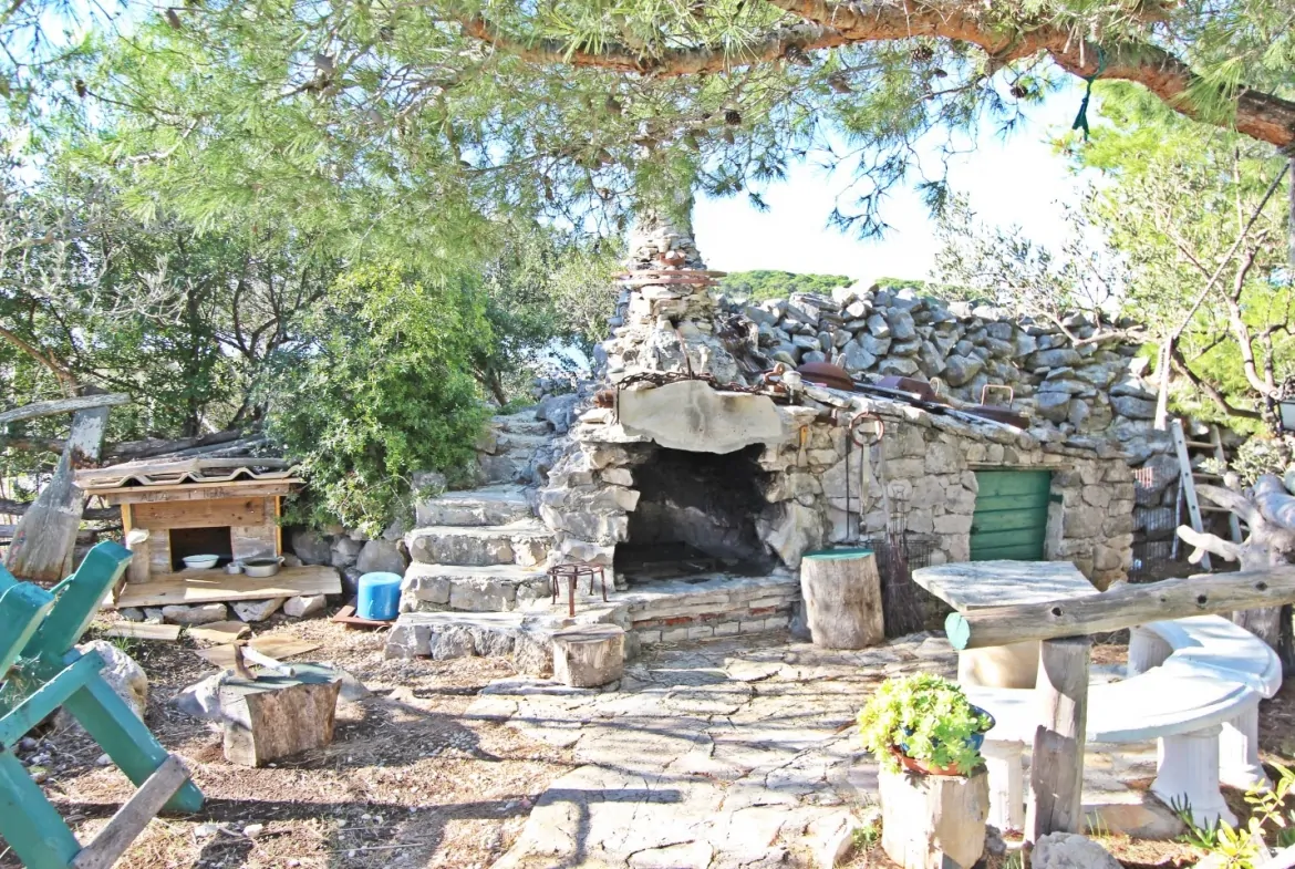 Veliki Vinik 10 - Kornatica