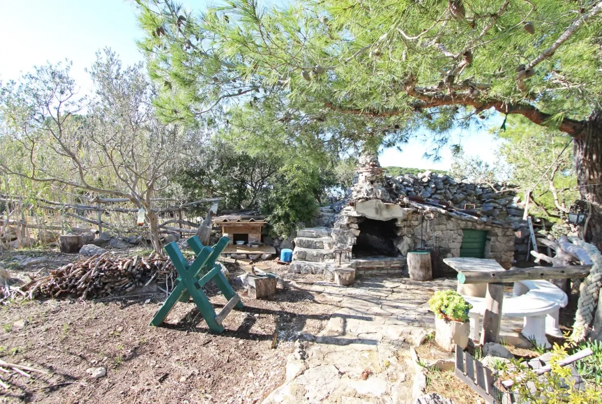 Veliki Vinik 11 - Kornatica