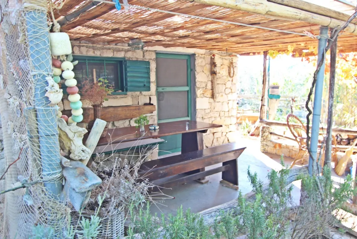 Veliki Vinik 12 - Kornatica