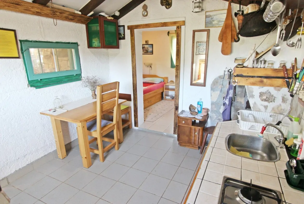 Veliki Vinik 19 - Kornatica