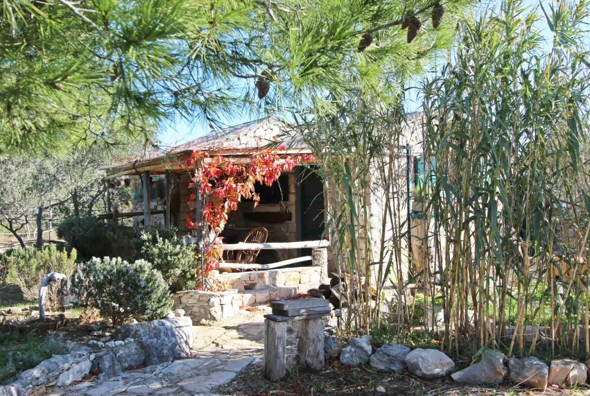 Veliki Vinik 20 - Kornatica