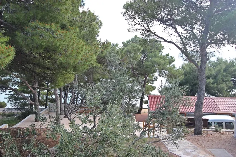 Vegros – Slanica 15 - Kornatica