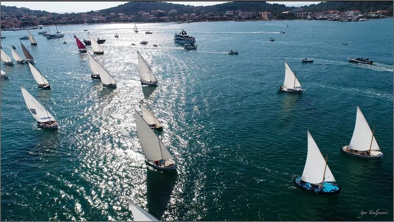 Latin idro ... who has love, so has will! 01 - Kornatica