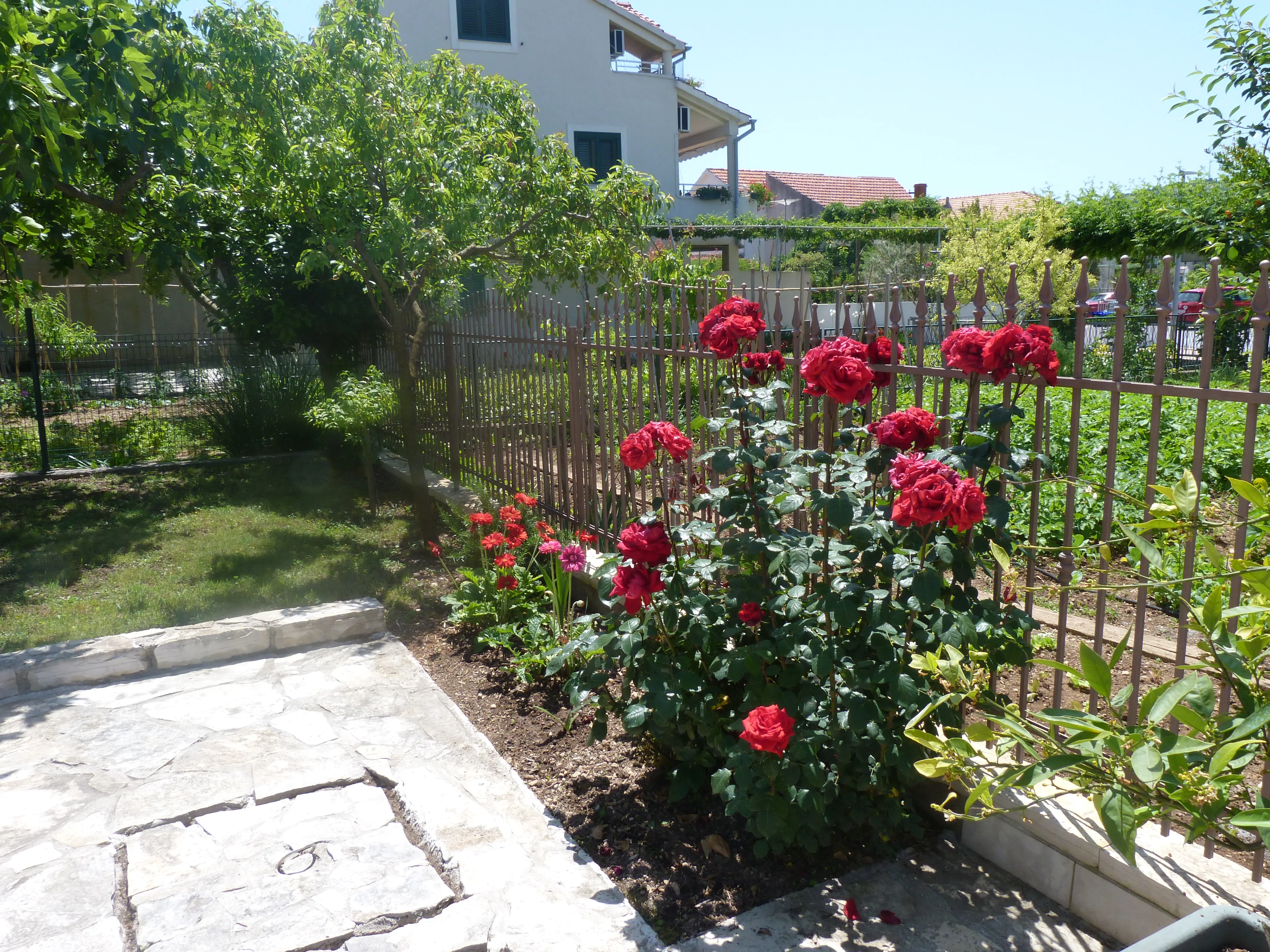 Nada Ž 2+2 02 - Kornatica