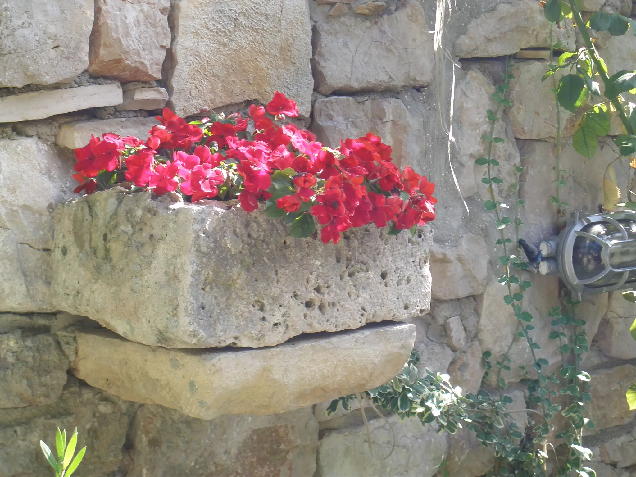 Sanja 2+1 01 - Kornatica