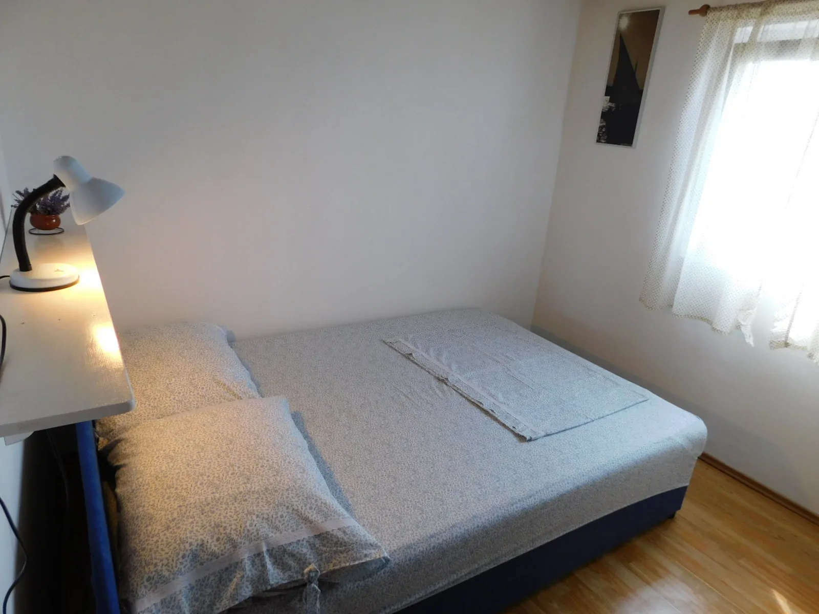 Žut 2 12 - Kornatica