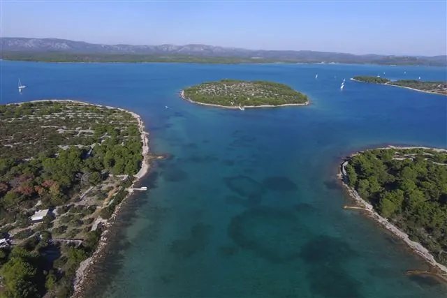 Tegina 06 - Kornatica