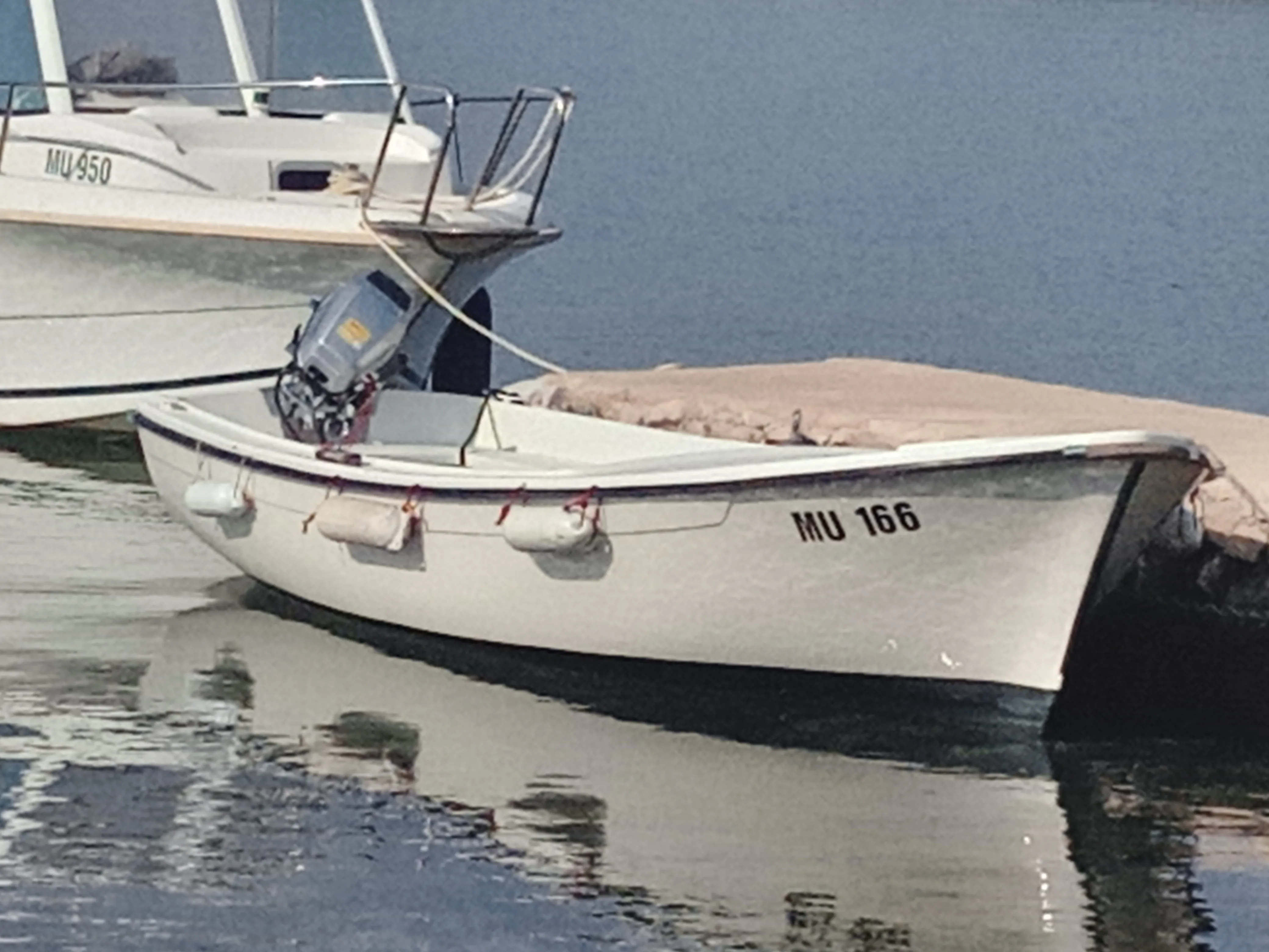 Tegina 07 - Kornatica