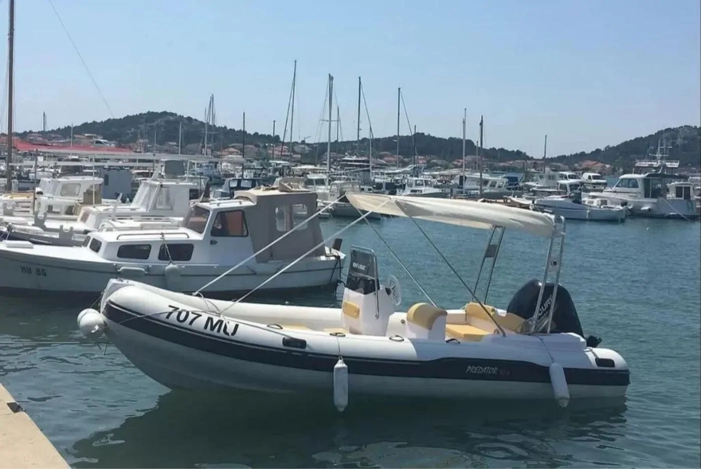 Predator 570 01 - Kornatica