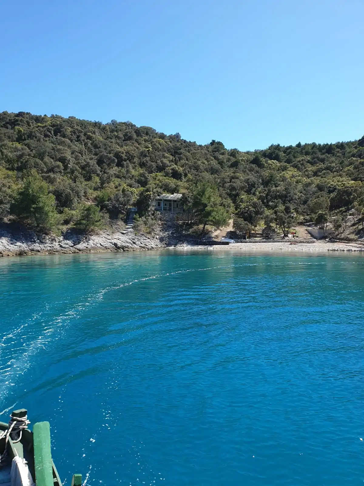 Yellow 02 - Kornatica