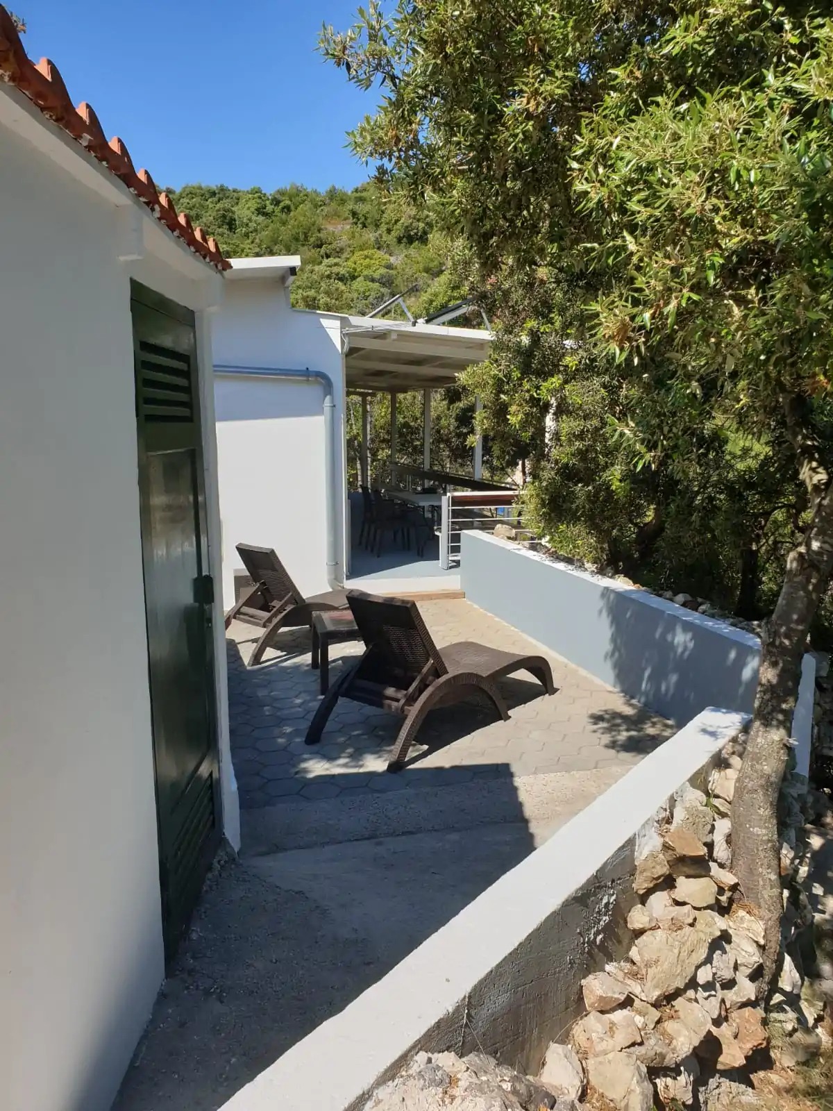 Yellow 05 - Kornatica