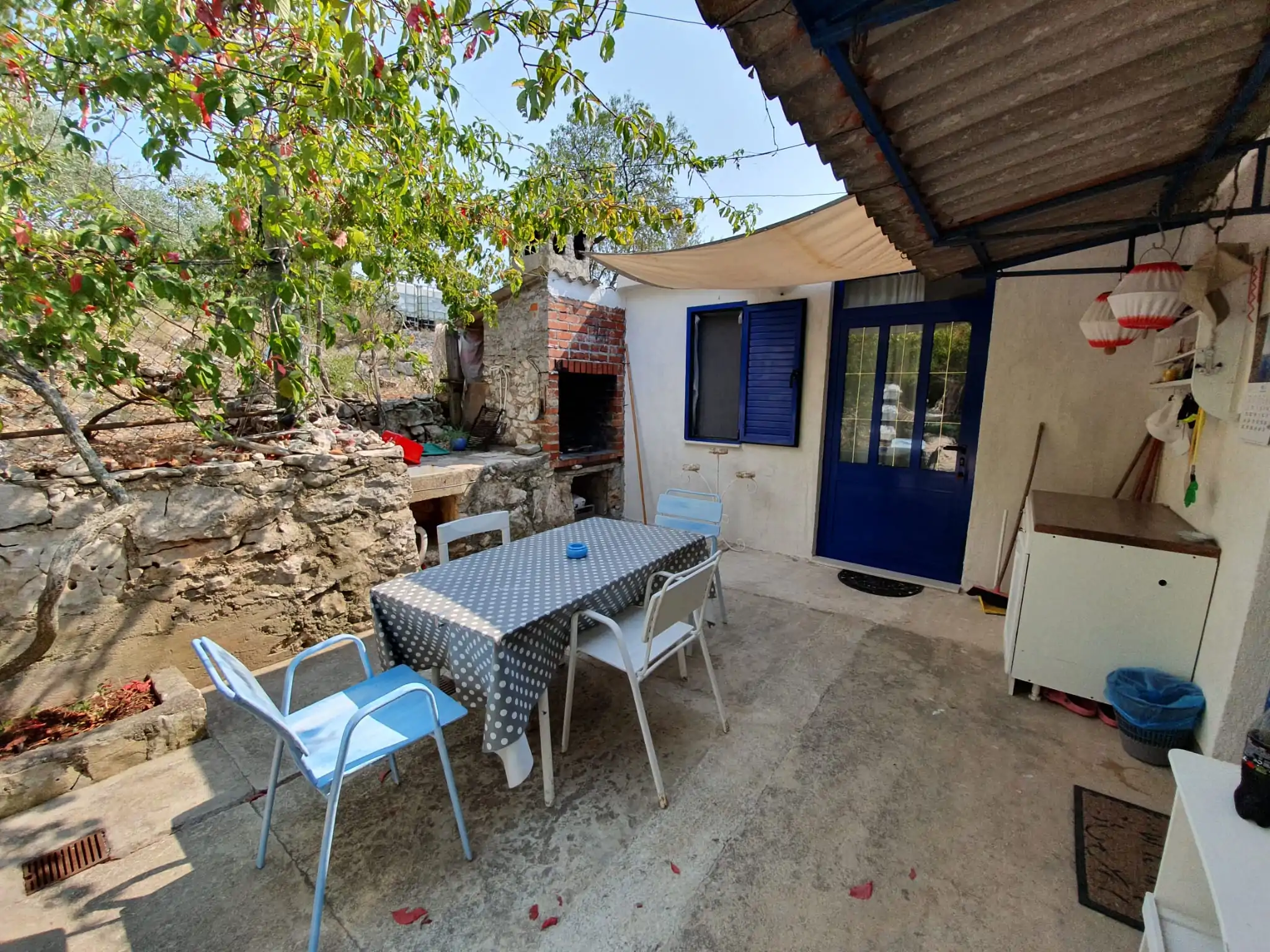 Podmuravnjak 08 - Kornatica