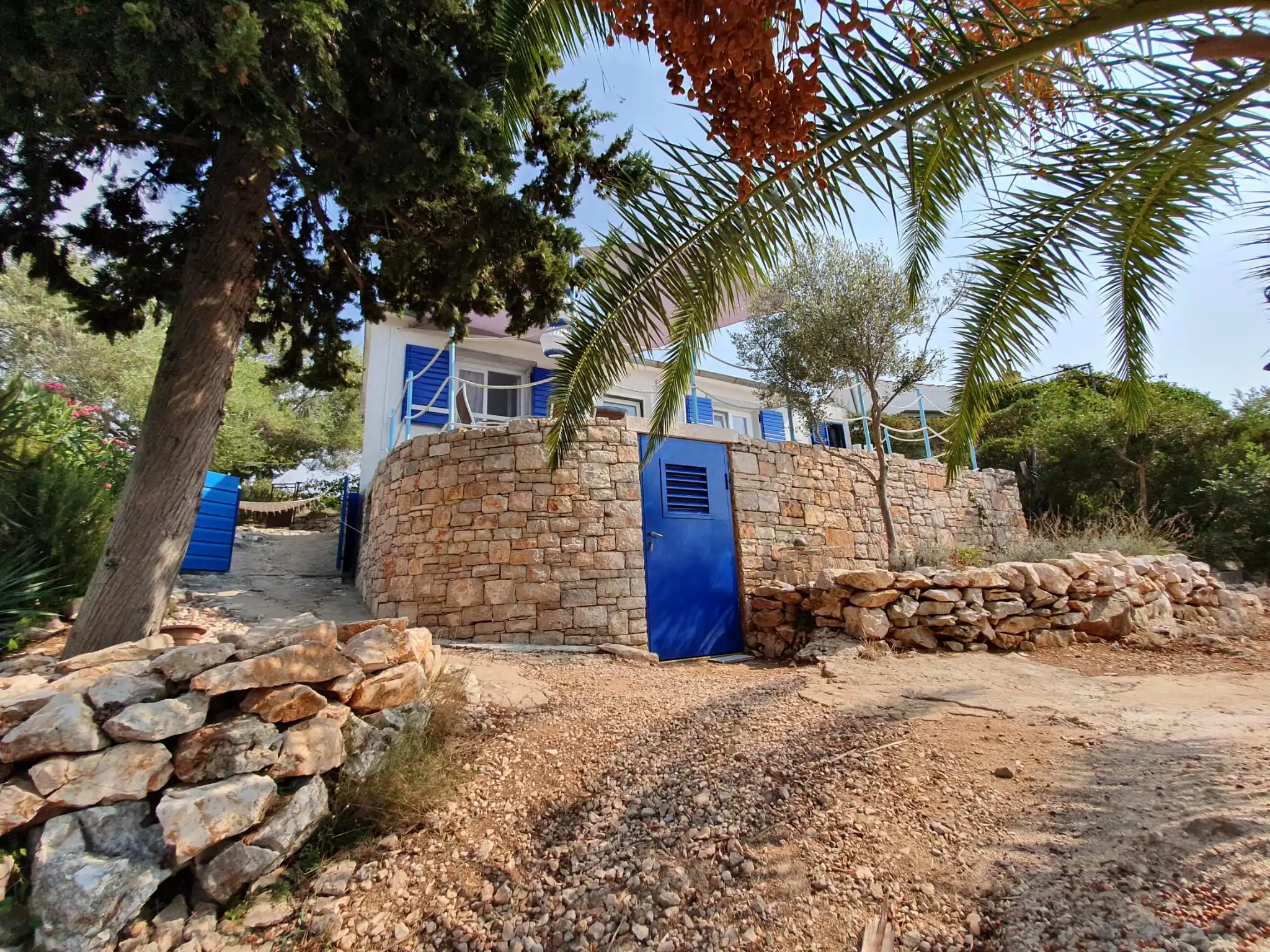 Podmuravnjak 10 - Kornatica