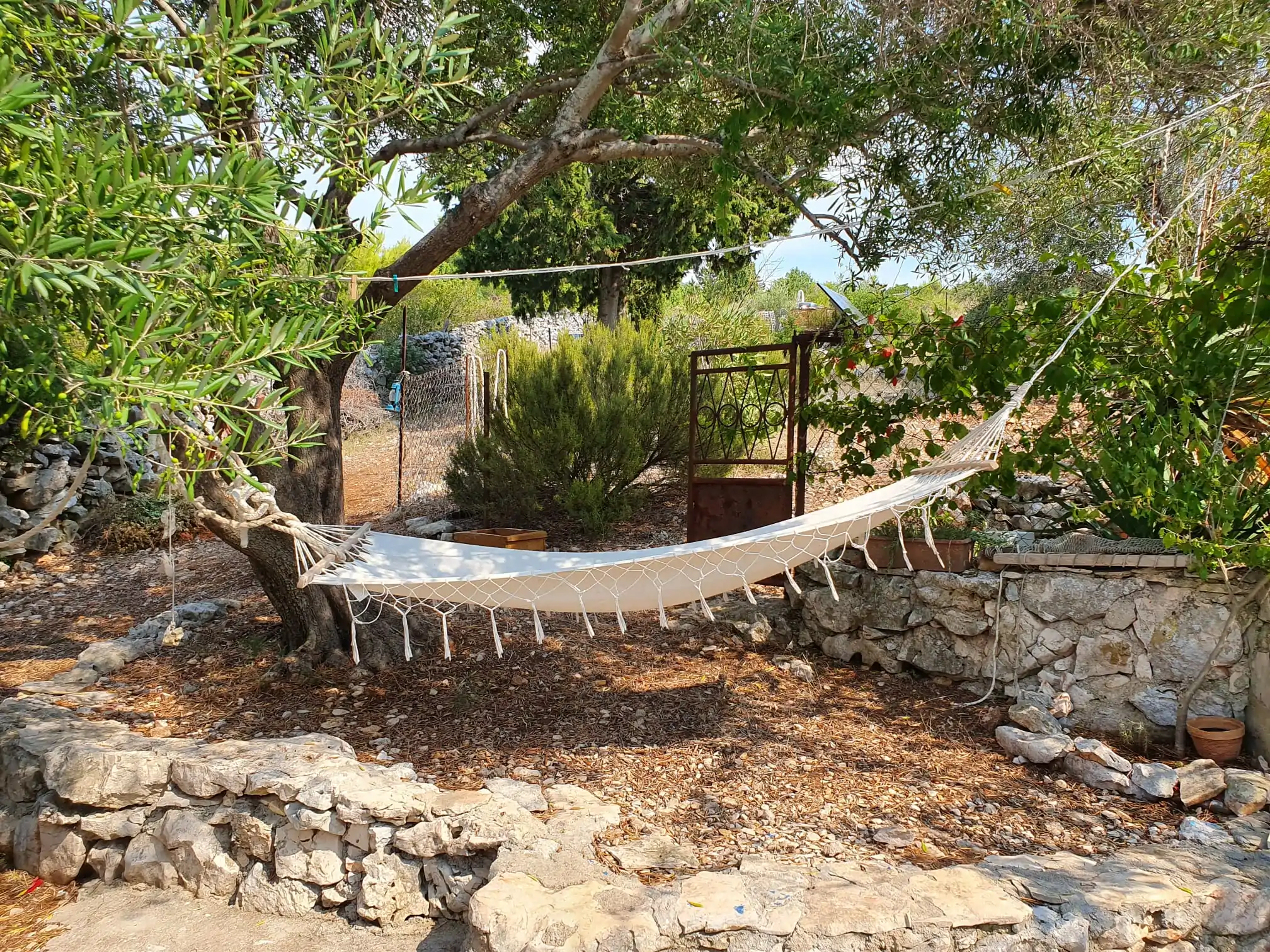 Podmuravnjak 16 - Kornatica