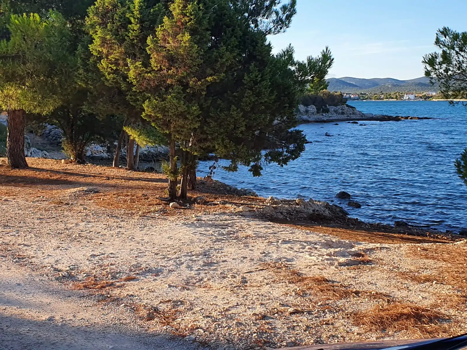 Marija 12 - Kornatica