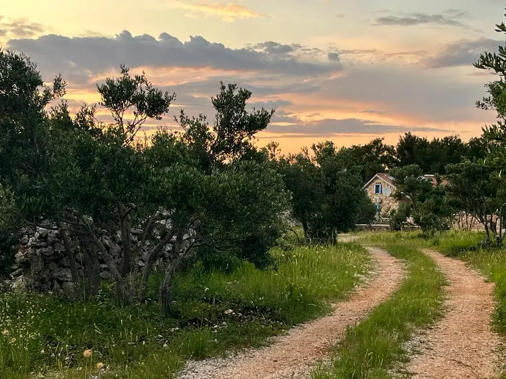 Marica – NEW! 03 - Kornatica